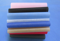 伽师涤纶（PET）无纺布是什么